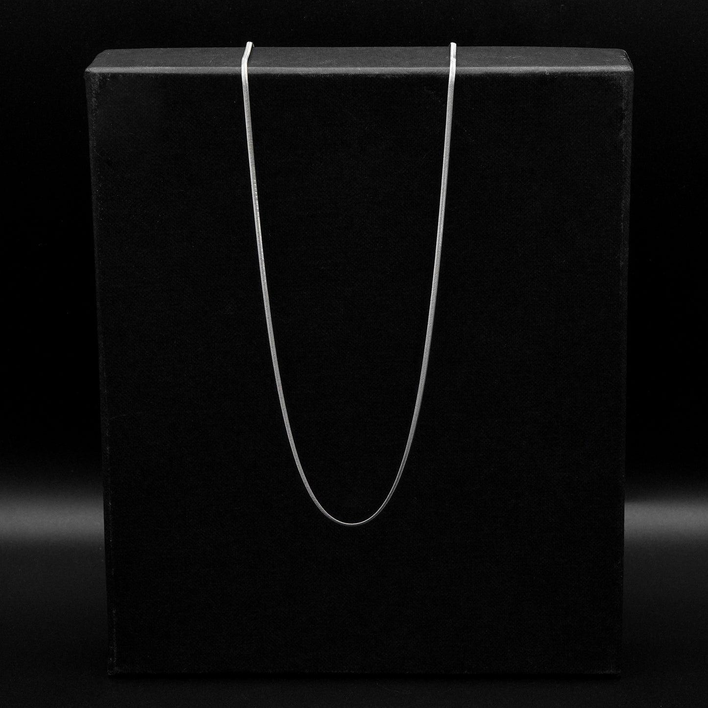 Silver Snake Chain Necklace